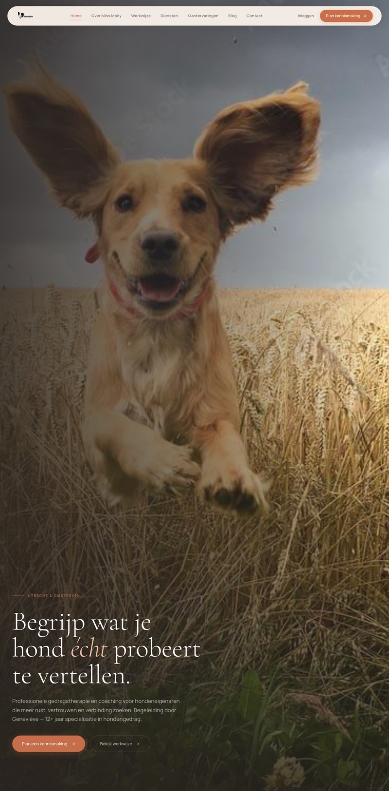 Website van Miss Molly